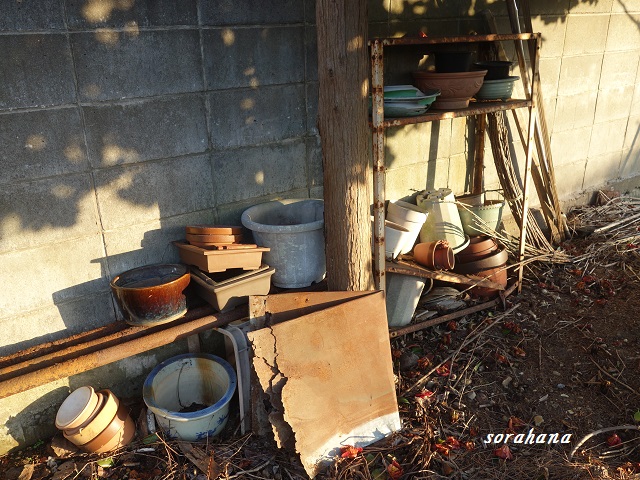 実家の片づけは家の中だけではない 長年放置していた庭の大量の鉢が怖ろしい事態に