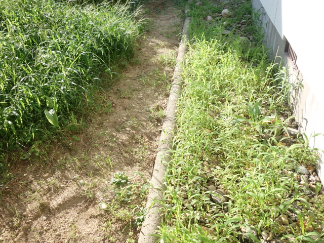 庭の雑草対策 夏の草ボーボーに除草剤を撒いてわかった私の未来設計図