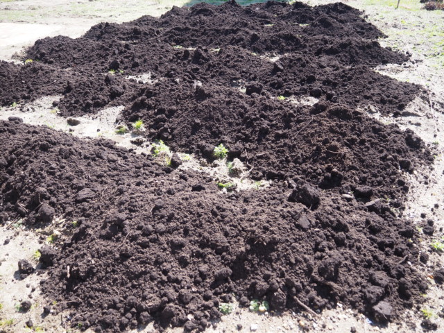 畑に黒土を搬入した どうなる 今年の家庭菜園