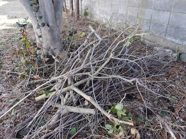 庭木を剪定した枝の処分のしかた